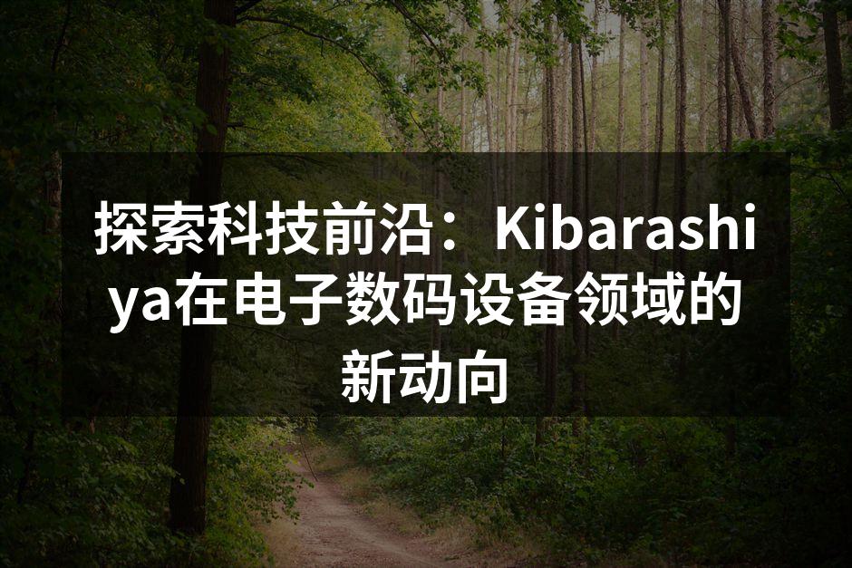 Kibarashiya智能家居产品展示