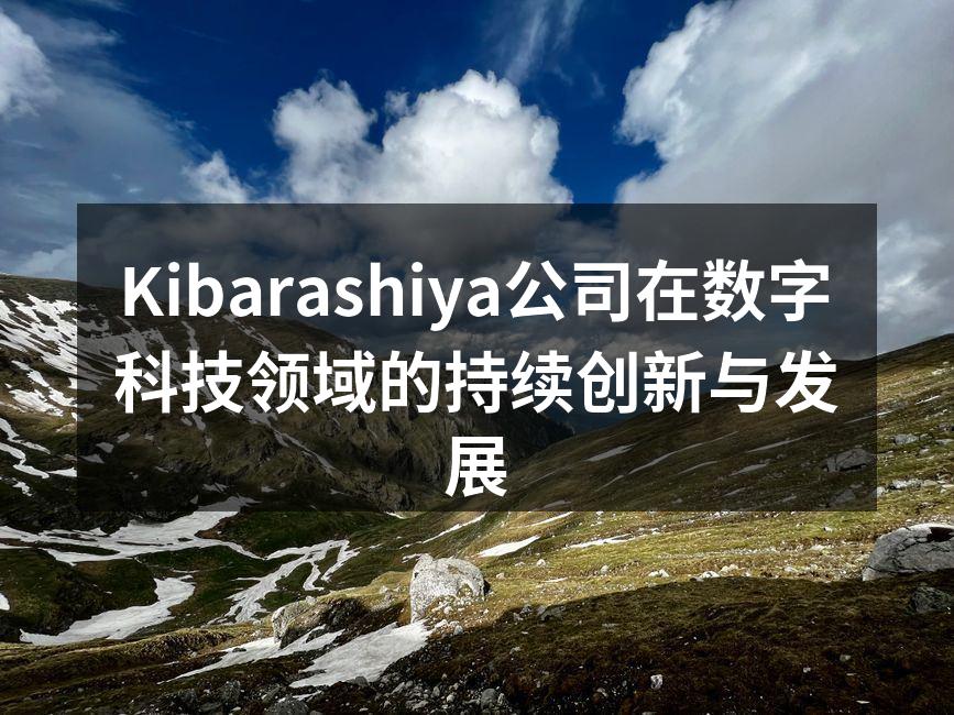 Kibarashiya公司在数字科技领域的持续创新与发展